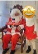 photo_noel 2023.jpg
